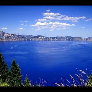 Meet your Posher, Oso